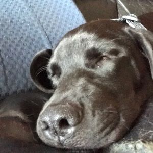 Meet your Posher, Mary